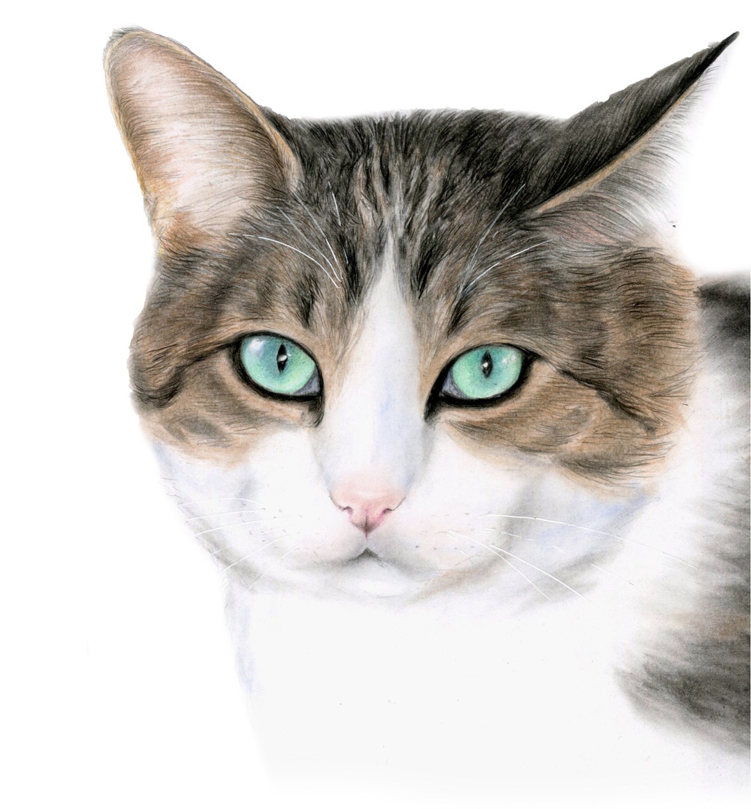 Custom Cat Portrait Gift for Cat Lovers Etsy