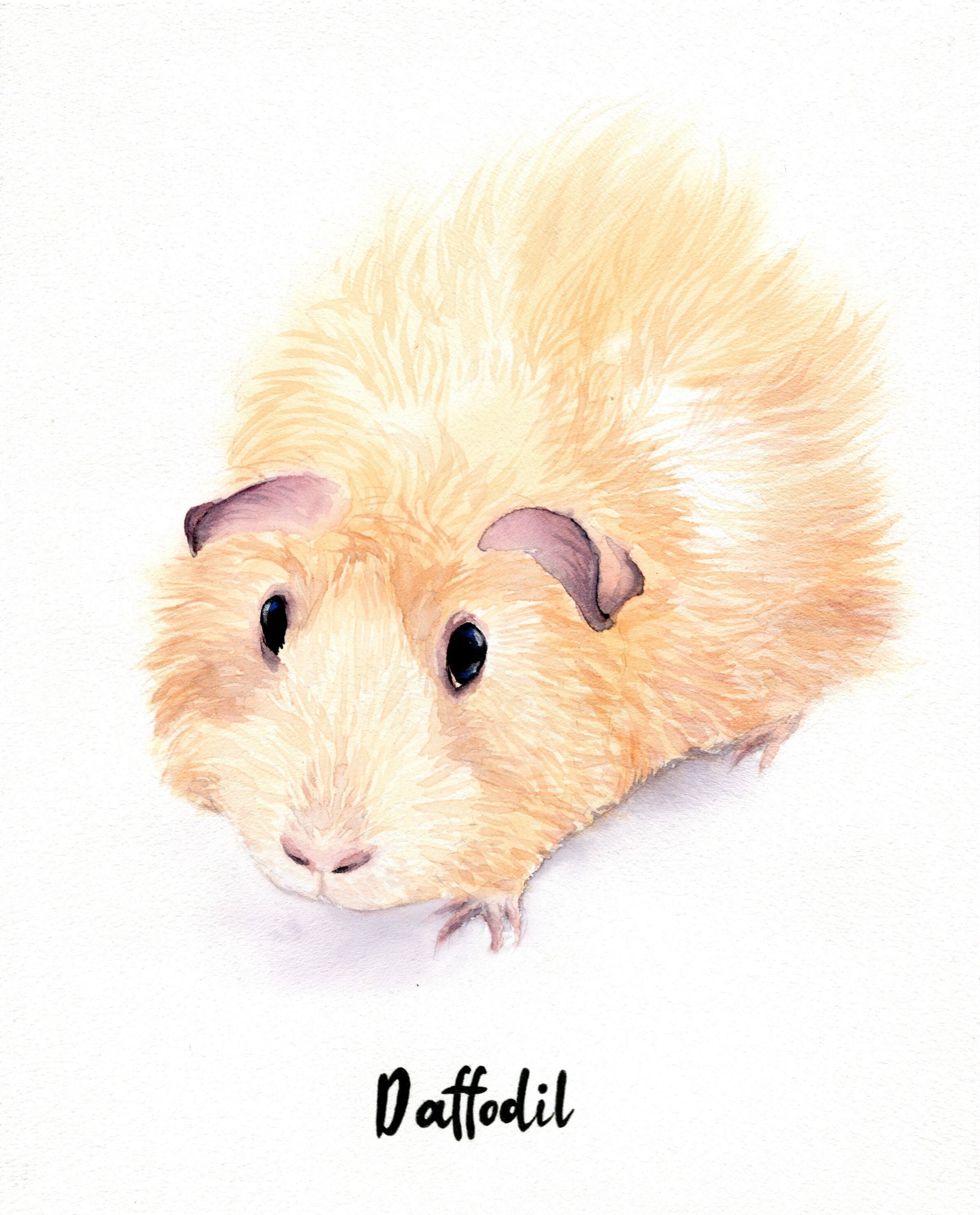 Bild von Meerschweinchen: A Comprehensive Guide to the Art of Guinea Pig Portraits