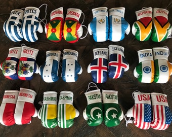 USA and Brazil Mini Boxing Gloves
