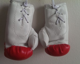 Mini guantoni da Boxe con Bandiera del Brasile per Auto o casa