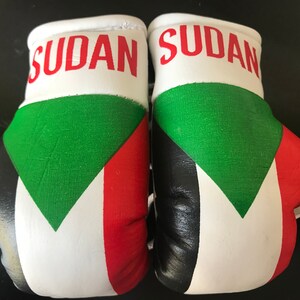 Flag Mini Boxing Gloves, Car Mirror Decor, Worldwide Countries Sudan Flag