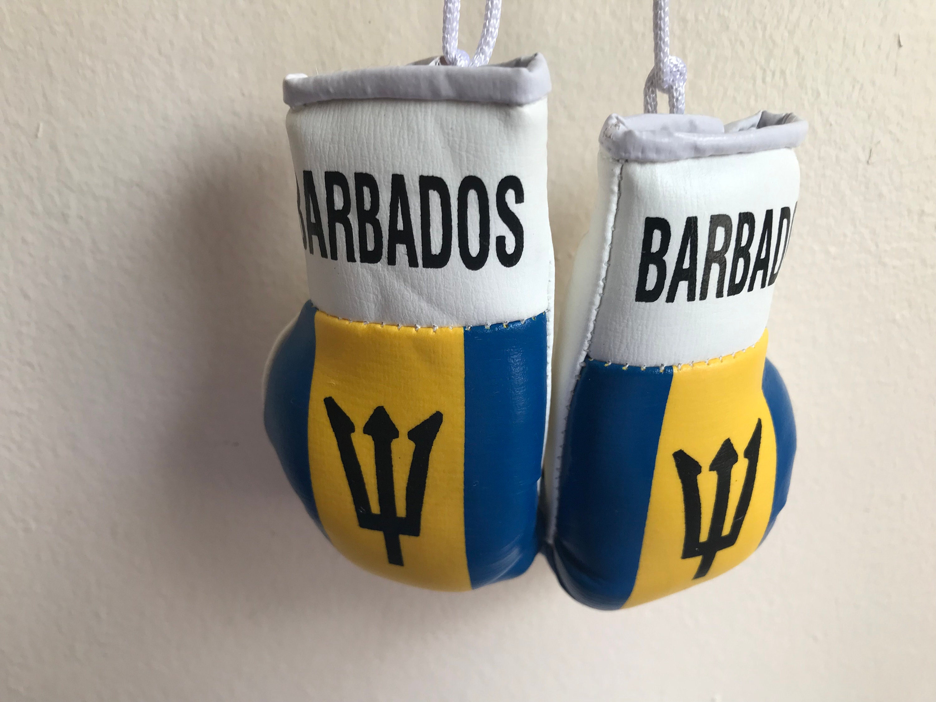 Barbados Flag Mini Boxing Gloves & Mini Boxing Gloves With Key Etsy