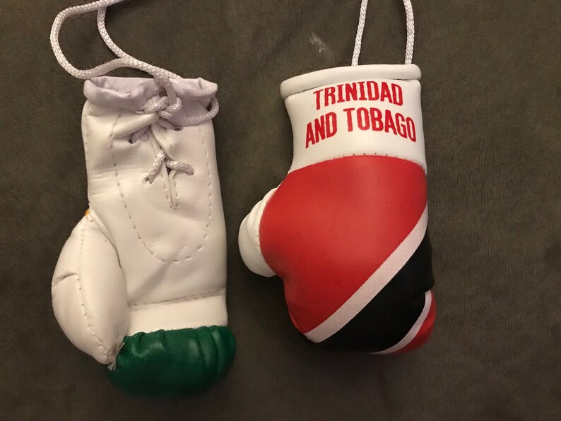 Guyana/trinidad and Tobago Flag Mini Boxing Gloves Novelties Etsy