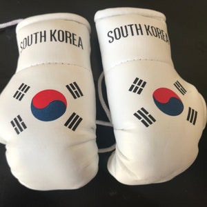 Flag Mini Boxing Gloves, Car Mirror Decor, Worldwide Countries South Korea Flag