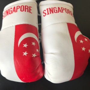 May include: A pair of white boxing gloves with red accents. The gloves have the word "SINGAPORE" printed on them and feature the Singapore flag on the side.