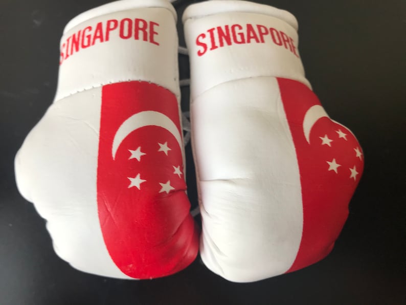 May include: A pair of white boxing gloves with red accents. The gloves have the word "SINGAPORE" printed on them and feature the Singapore flag on the side.