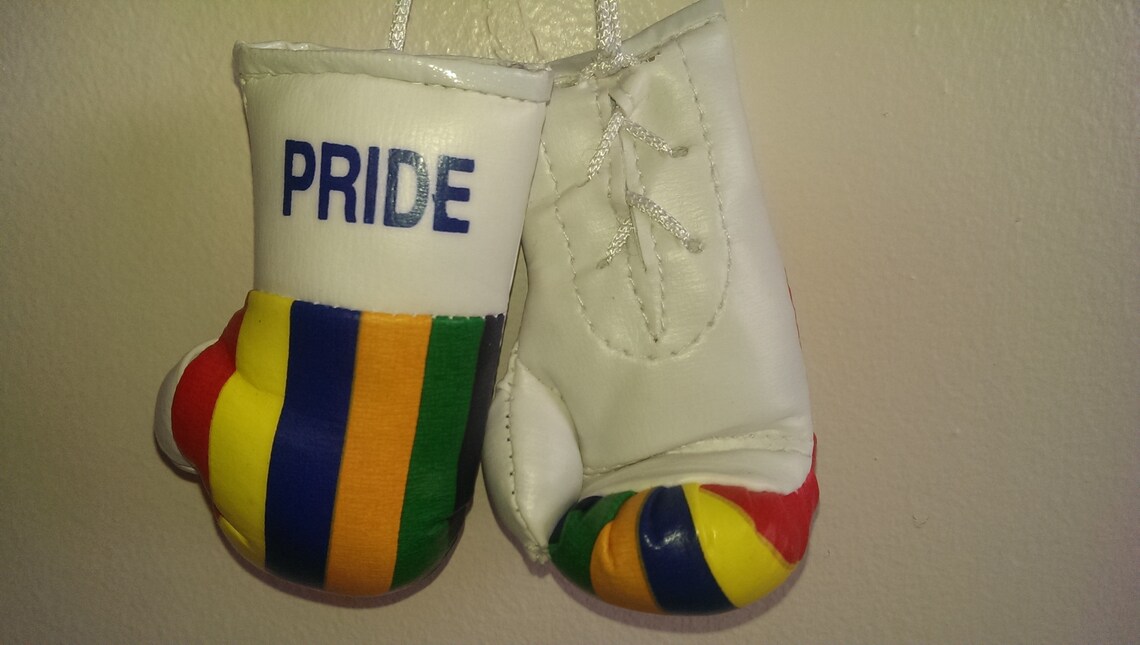 Pride Flag Mini Boxing Gloves Novelties Souvenir Show Etsy