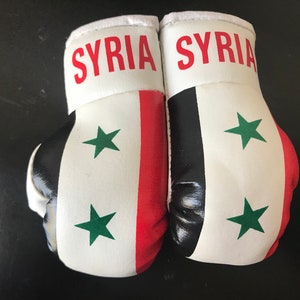 Flag Mini Boxing Gloves, Car Mirror Decor, Worldwide Countries Syria Flag