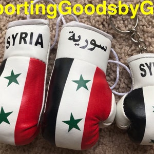 Mini Boxing Gloves Syria, Syria with Key Chain, Syria Key Chains Red with Key Chain BMW with White Key Chain & USA with Key Chain image 8