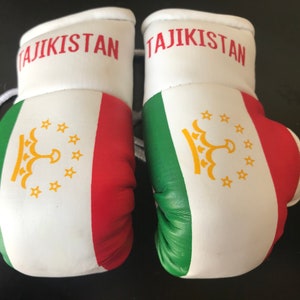 Flag Mini Boxing Gloves, Car Mirror Decor, Worldwide Countries Tajikistan Flag