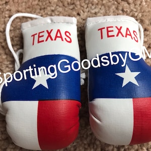 Texas, Alabama, USA, Pakistan, Kashmir, Mexico, Samoa, Thailand, Syria Flag, BMW Flag Mini Boxing gloves Novelties Souvenir Rear-View Mirror