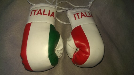 italian boxing gloves for car