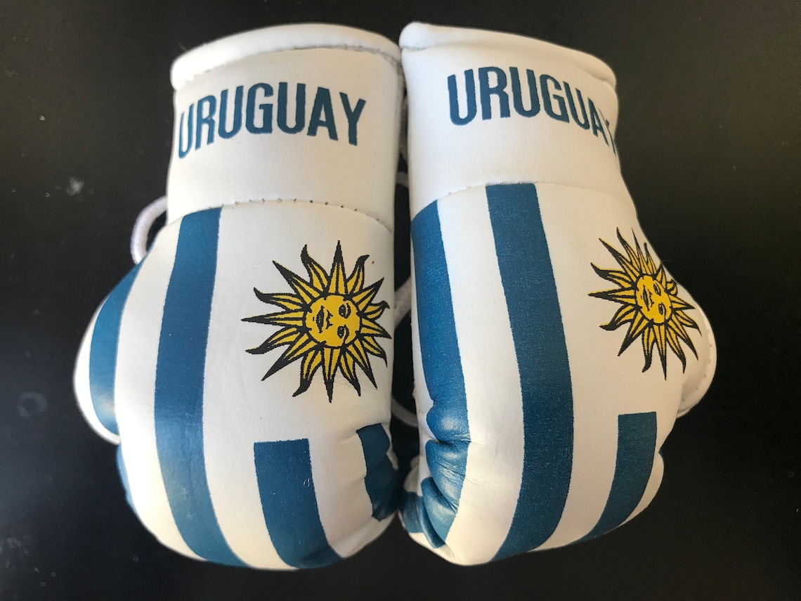 Venezuela Boxing Glove Mini Banner Flag Car Rearview