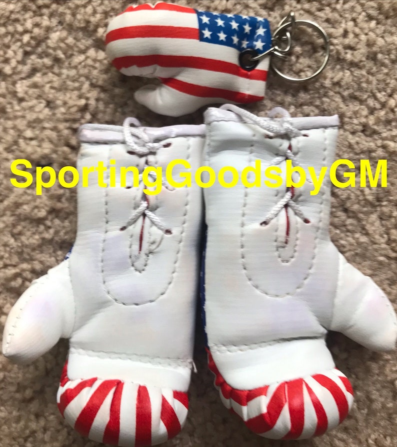 Mini Boxing Gloves Syria, Syria with Key Chain, Syria Key Chains Red with Key Chain BMW with White Key Chain & USA with Key Chain image 7