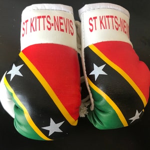 Flag Mini Boxing Gloves, Car Mirror Decor, Worldwide Countries St Kitts-Nevis Flag