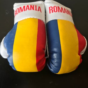May include: A pair of white boxing gloves with the Romanian flag on them. The gloves have the word "ROMANIA" printed on the top of each glove.