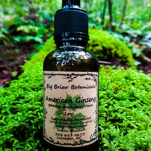 May include: A brown glass bottle with a dropper top and a label that reads "Big Briar Botanicals American Ginseng panax quinquefolius 1 oz Sustainable harvested wild American Ginseng Leaf Stem Root Grain Alcohol 828-683-9675 Leicester, NC"