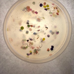 Tropical Extravaganza Clear Slime with Fruit, Flower, and Animal Slices (4 oz, 8 oz)