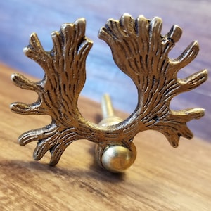 Puede incluir: Una perilla de armario de metal dorado con un diseño detallado que se asemeja a una rama de árbol. La perilla tiene una base redonda y un tornillo que sobresale.