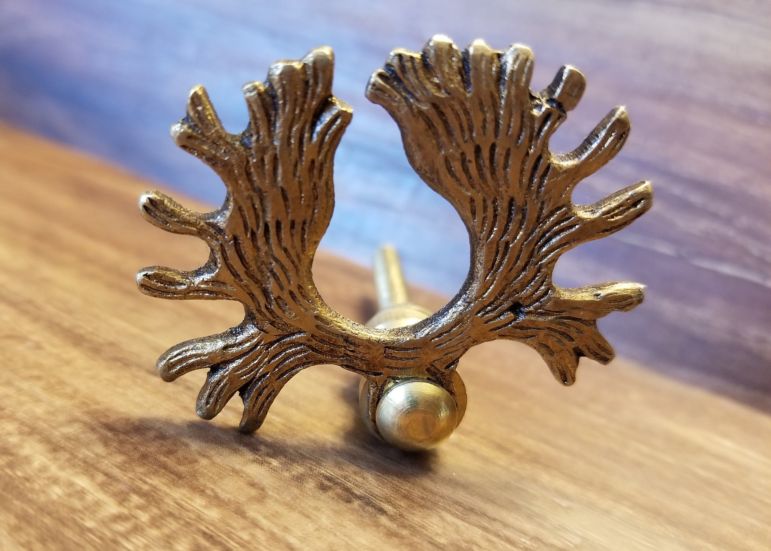 Brass Antler Drawer Knobs Etsy