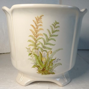 May include: Cream ceramic plant pot with a fern design. The pot has a flared top with handles and stands on three small feet. The fern illustration features green, yellow, and brown fronds.
