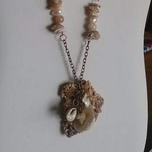 Natural shell set