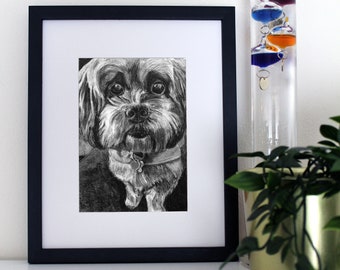 Lhasa Apso Art Print - 5x7