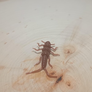 May include: A brown rubber fly fishing lure shaped like a stonefly.