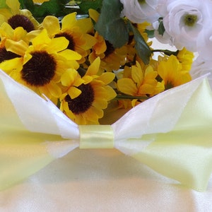 Shed Some Light - Iridessa Inspired Hair Bow - Medium 4 3/4&quot;
