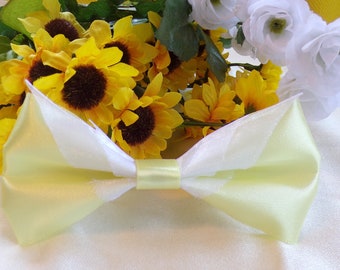 Shed Some Light - Iridessa Inspired Hair Bow - Medium 4 3/4"