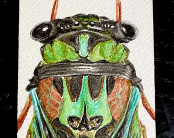 ACEO original Lyric Cicada Watercolor Painting