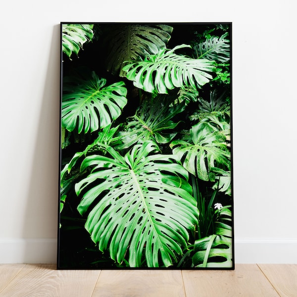 Monstera Deliciosa Monster Plant Photographic Colour Printable Art [Digital Download]  [Printable Wall Art] [Delicious Monster Plant]