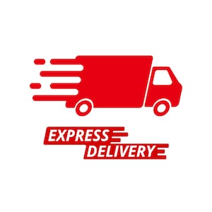 May include: Red delivery truck icon with a white background. The truck is moving quickly, as indicated by the red lines behind it. The text "EXPRESS DELIVERY" is below the truck.