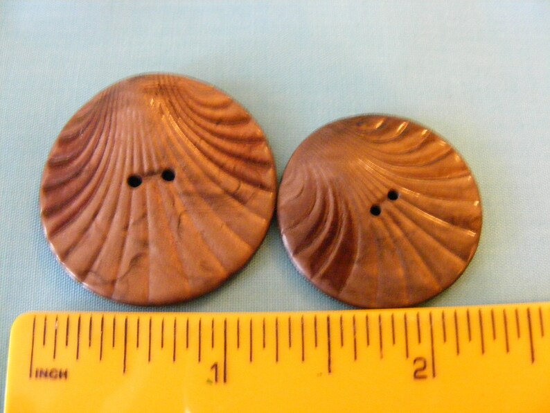 Scrapbooking Shell Shaped Marbled Brown Buttons 33mm /& 22mm Vintage Curved Early Plastic Buttons Beach Crafts Brown Buttons Sewing