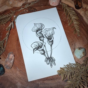 Calla Lilies - print - 4x6 or 5x7
