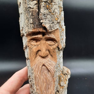 Cottonwood Bark Wood Spirit Cottonwood Bark Wood Spirit
