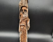 The skull and the sleeping woodspirit. Cottonwood bark carving.