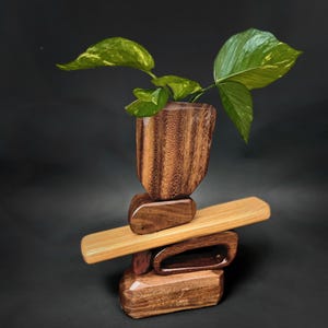 May include: A wooden vase with a unique stacked design, featuring a light brown base, a dark brown middle section, and a light brown top. The vase is holding a green plant with variegated leaves.