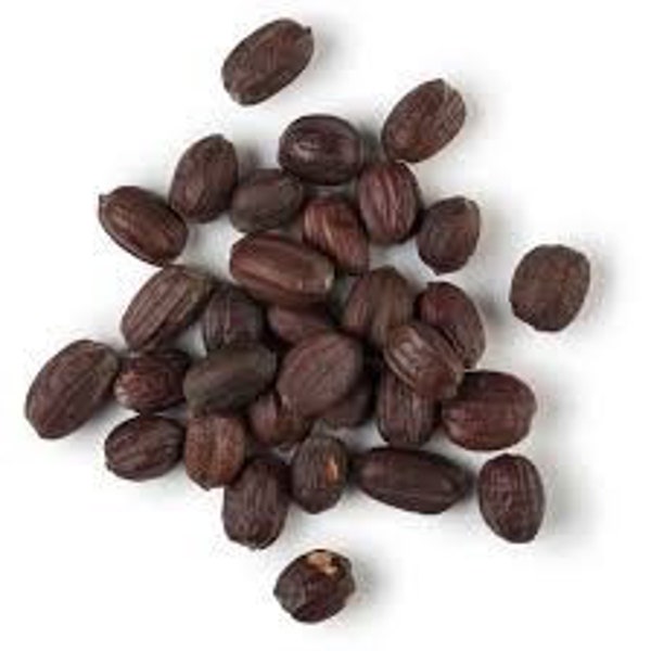 10 Jojoba Seeds  (Simmondsia Chinensis)