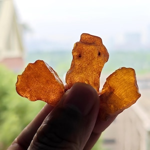May include: Three pieces of raw, translucent amber with a warm, golden-orange hue. Each fragment displays a natural, irregular shape with visible internal textures and fine crackling patterns throughout the resinous, fossilized material.