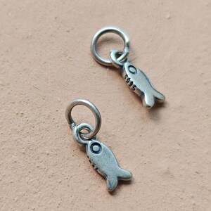 May include: Two small silver-toned fish charms, each featuring a circular jump ring at the top. The fish bodies have a matte, antiqued finish with a stamped eye detail. One charm clearly displays the engraved text S925 on its side surface.