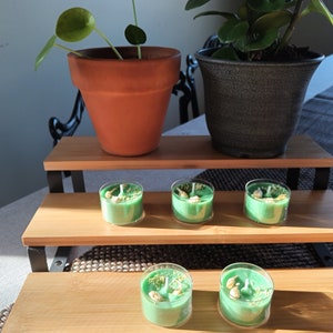 Forest Pine Scented Tea Lights with Flowers