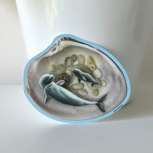 Beluga Whales Shell Sticker