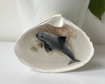 Vaquita in Resin Shell Painting
