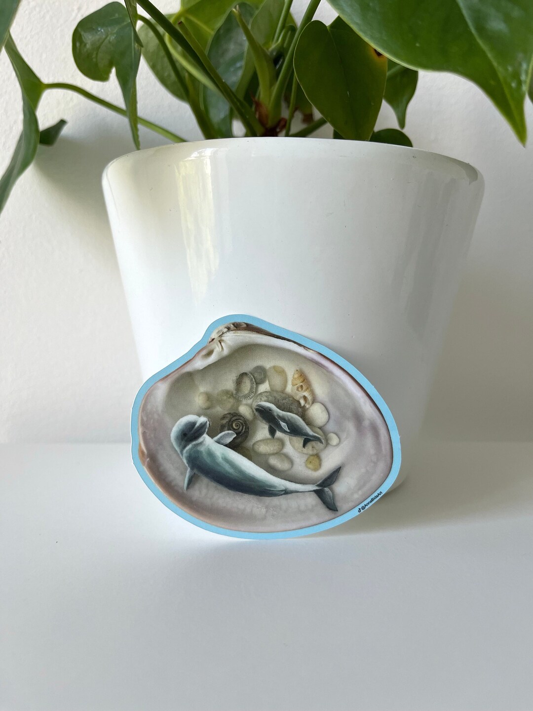 Beluga Whales Shell Sticker - Etsy