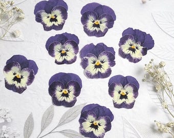 Edible Pressed BlueViolas (20pcs): Cake & Cookie Garnish