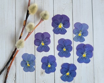 Edible Pressed Blue Viola Flowers, 20 pcs Baking and Craft Supplies