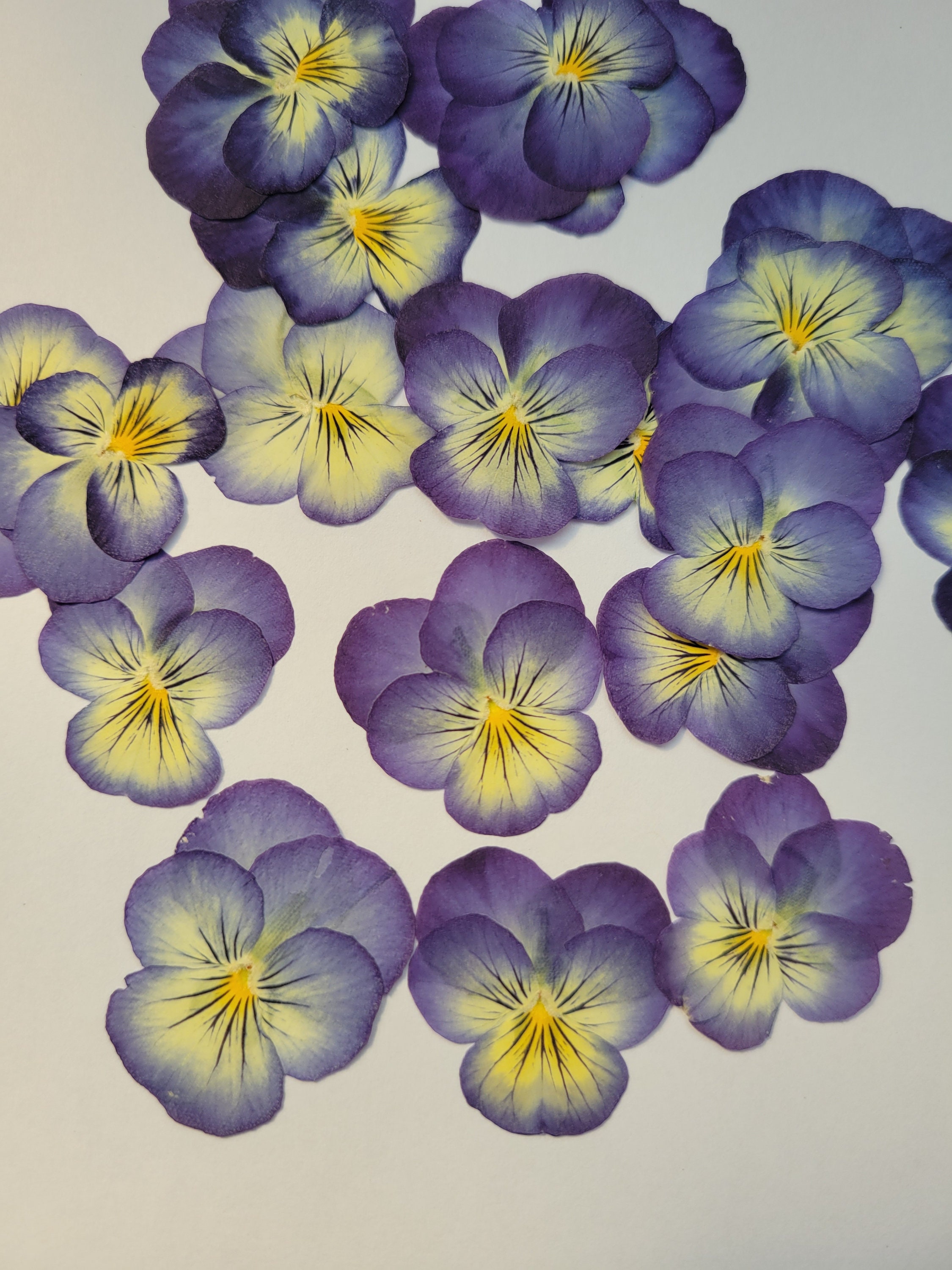Edible Dried Press Flowers for craft, resin, art, scrapbooks, card ma…