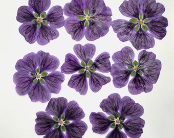 Pressed Malva Flowers 20pcs, deep purple, Large Edible for decorating cakes-cupcakes-cookies