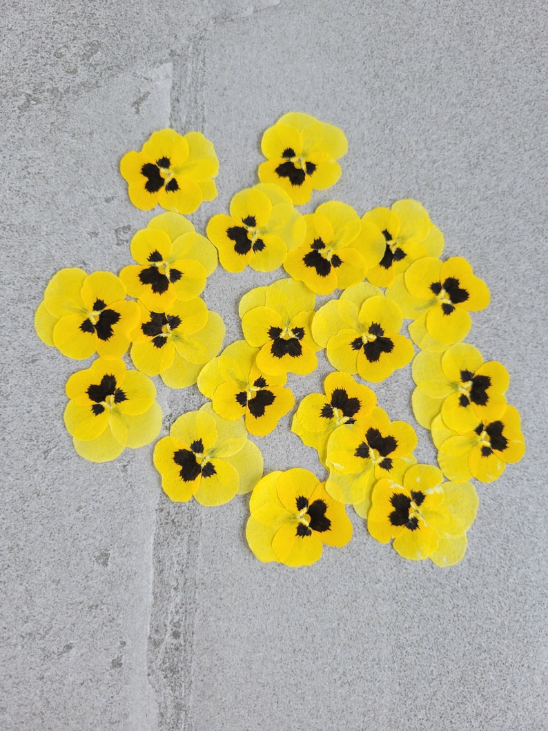 20 Pcs EDIBLE Pressed Flowers For Cakes Cookies Baking DYI Etsy